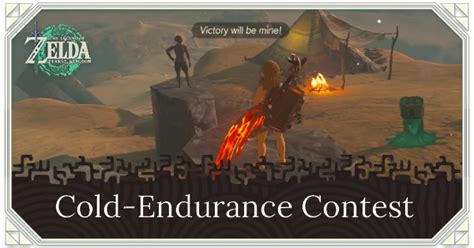 tears of the kingdom endurance test|Cold.